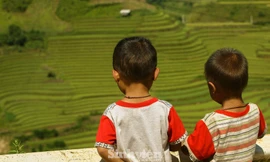 T.Ư Hội LHTN Việt Nam: Trung tâm Tình nguyện Quốc gia không thực hiện dự án ‘Nuôi em’