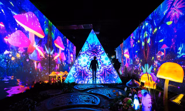 Khám phá không gian siêu thực bên trong triển lãm X space Immersive khiến giới trẻ Thủ đô 'mê mẩn'