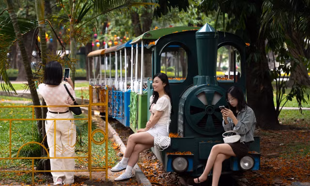 Điều ít người biết về chuyến tàu vòng quanh công viên Thống Nhất đang hot trên mạng xã hội