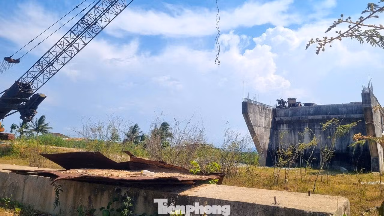 tp-cau-tam-tien-7.jpg