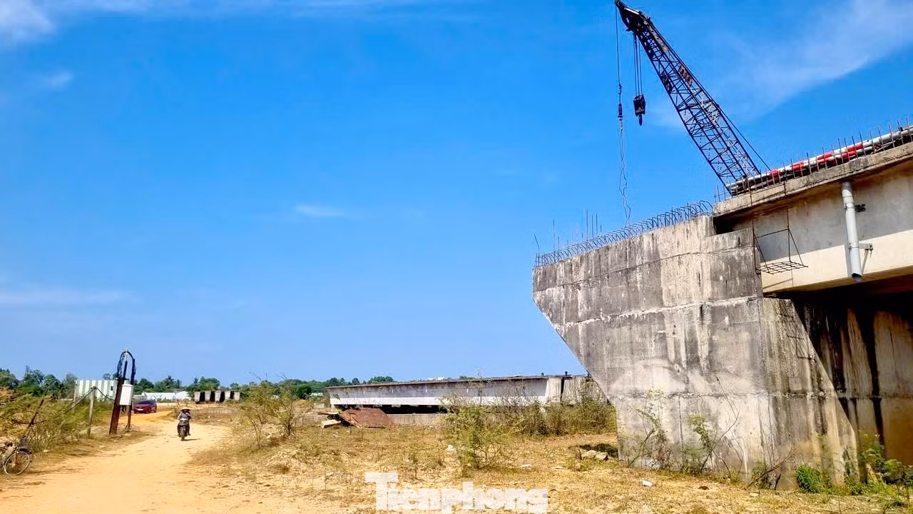 tp-cau-tam-tien-8.jpg