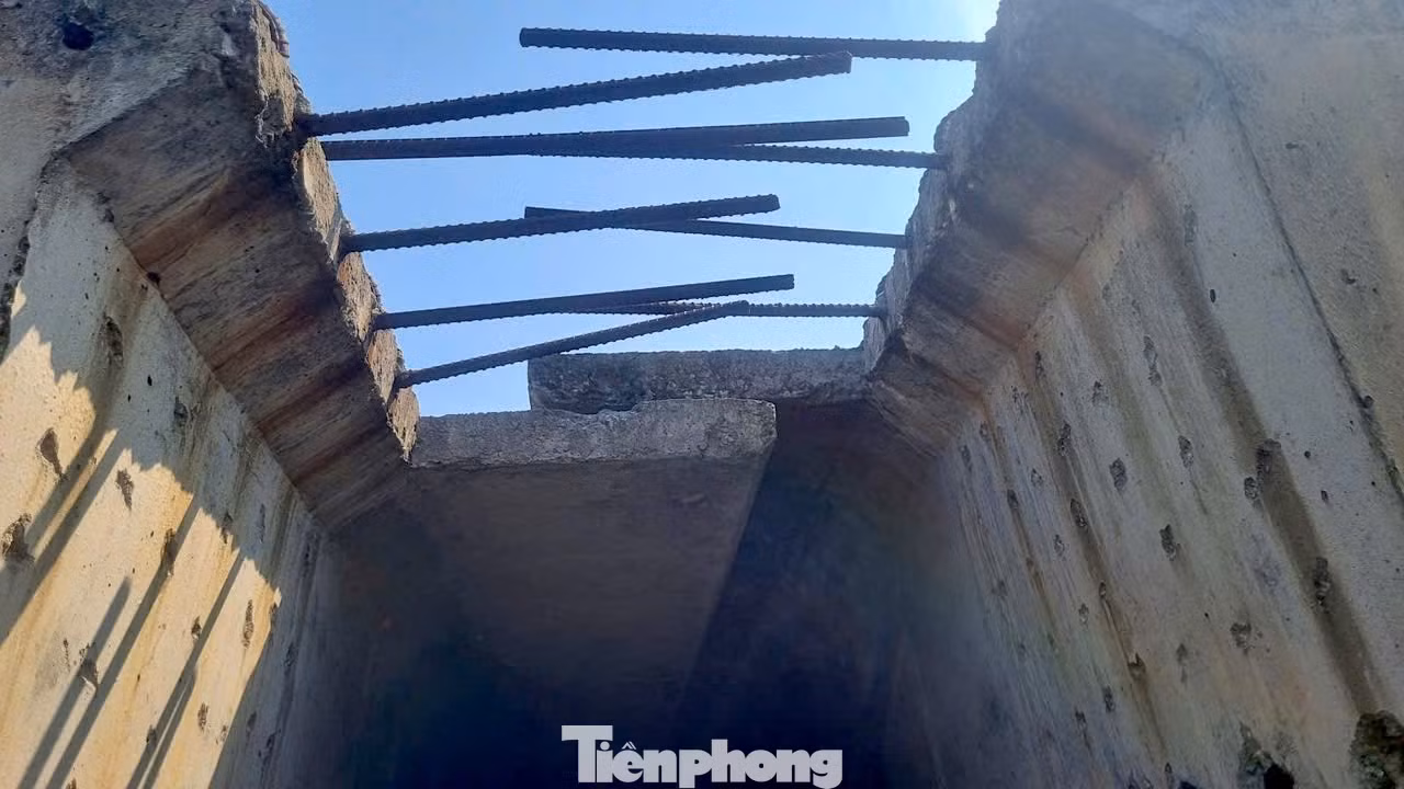 tp-cau-tam-tien-1.jpg