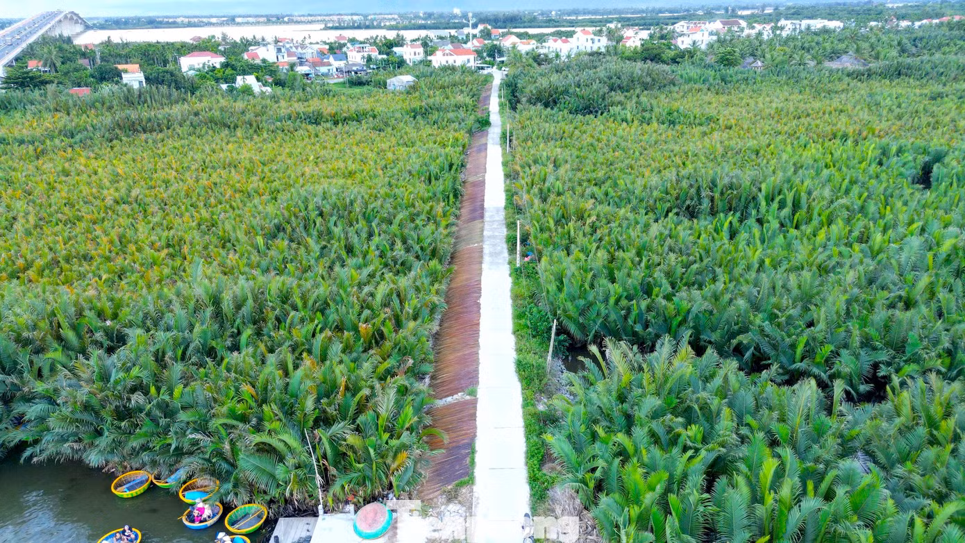 tp-5-lang-cam-thanh.jpg