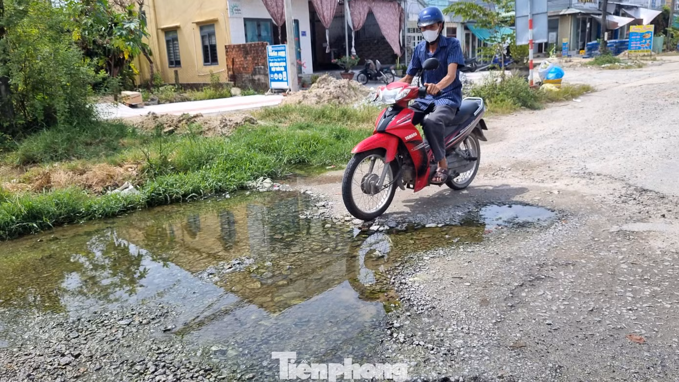 tp-a16-duong-quang-trung.jpg