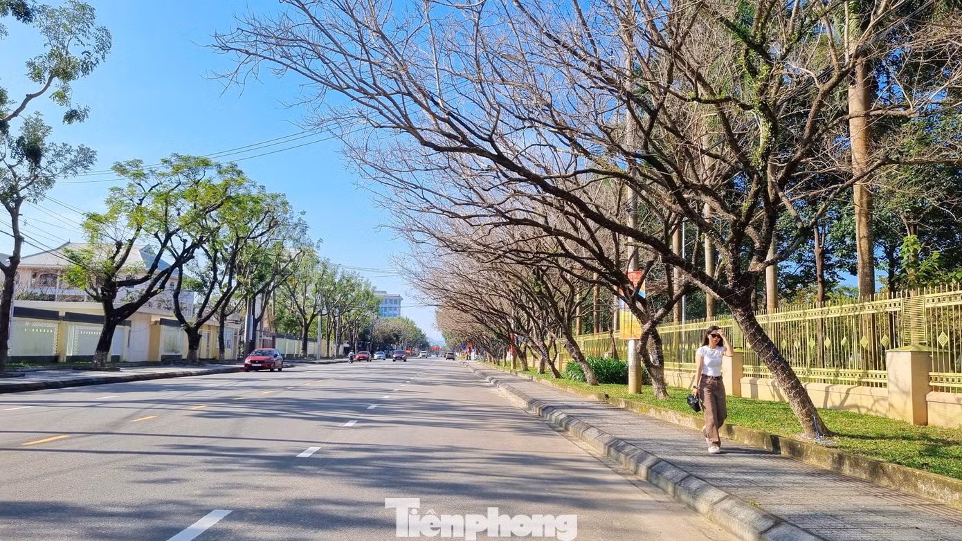 tp-sua-thay-la-7.jpg