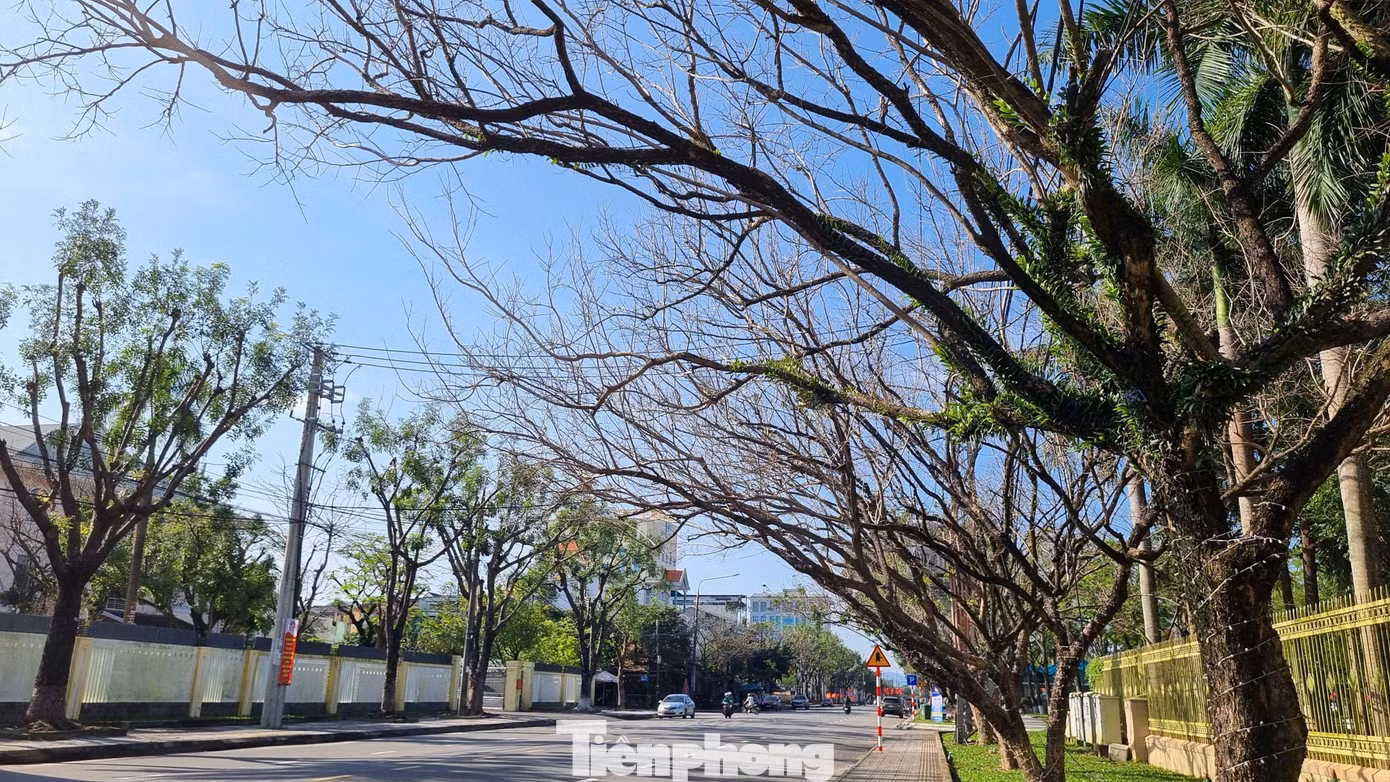 tp-sua-thay-la-15.jpg