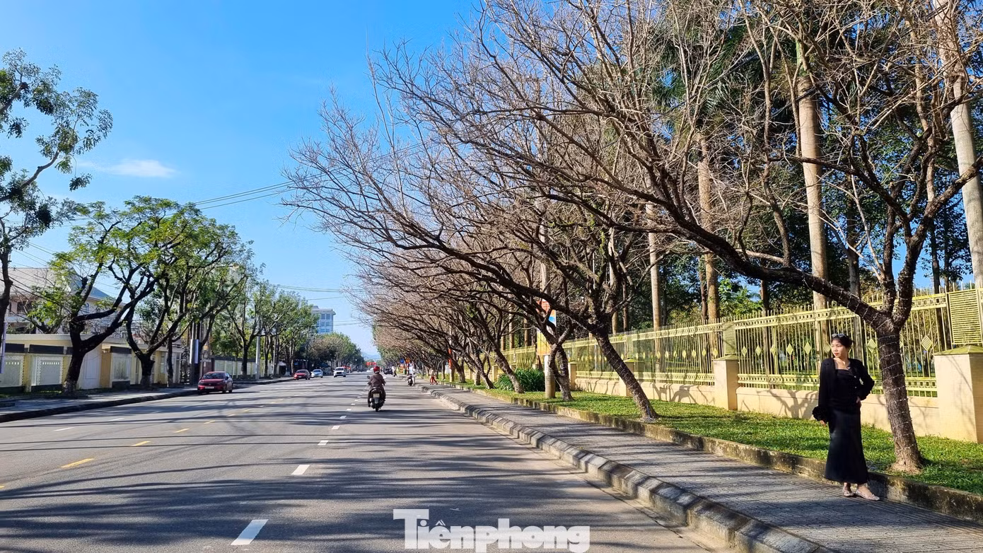 tp-sua-thay-la-20.jpg