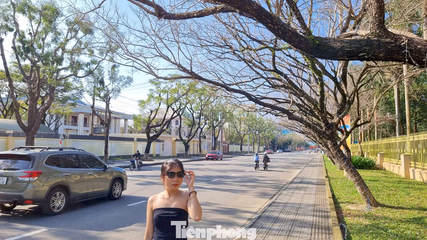 tp-sua-thay-la-4.jpg
