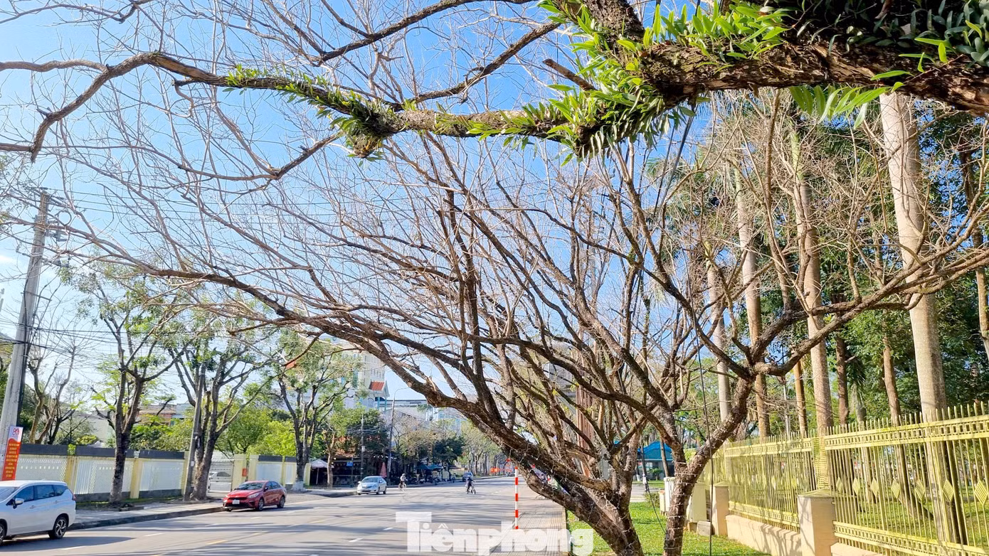 tp-sua-thay-la-10.jpg