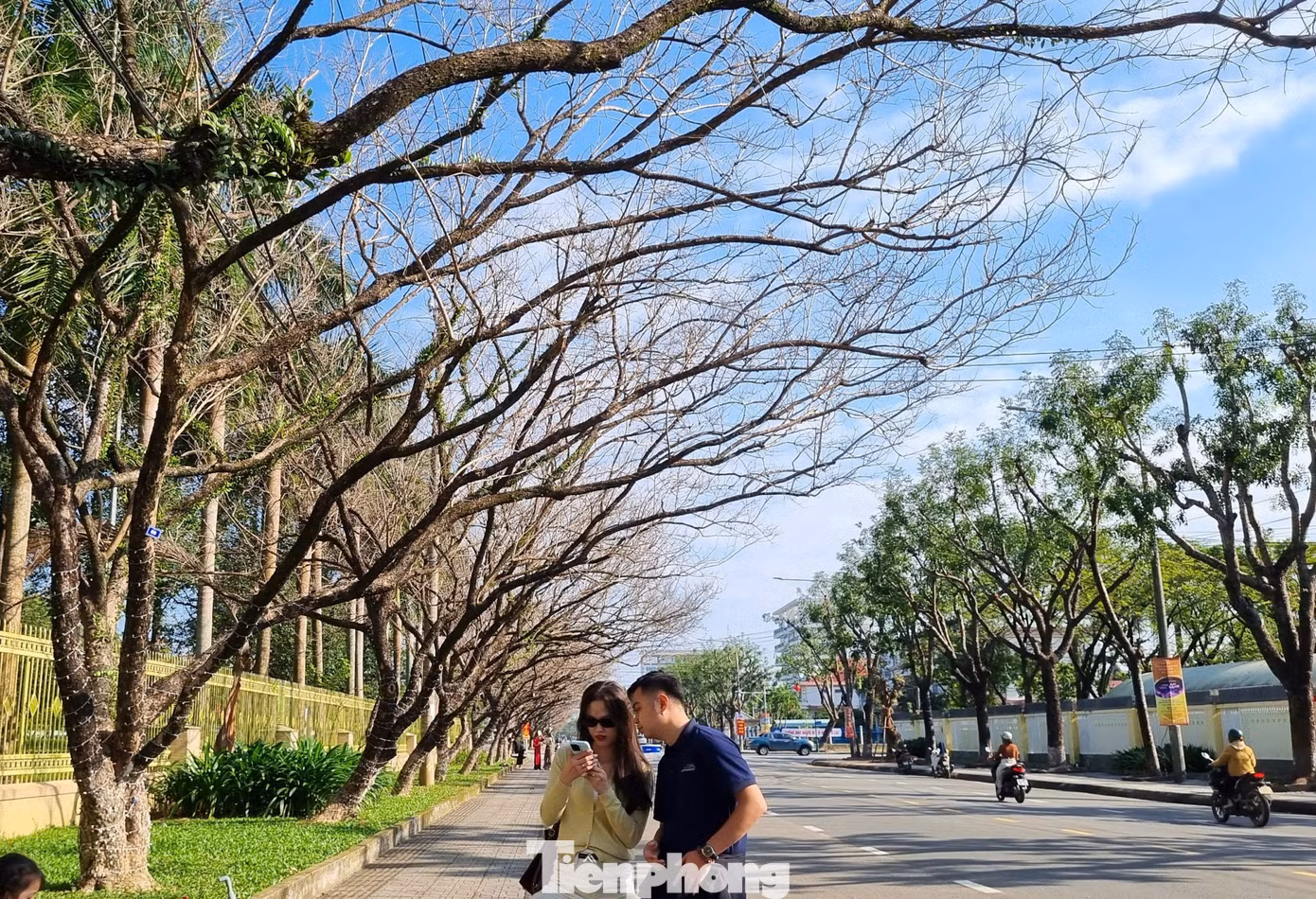 tp-cac-cap-doi-luu-lai-ky-niem-cung-khung-canh-day-lang-man.jpg