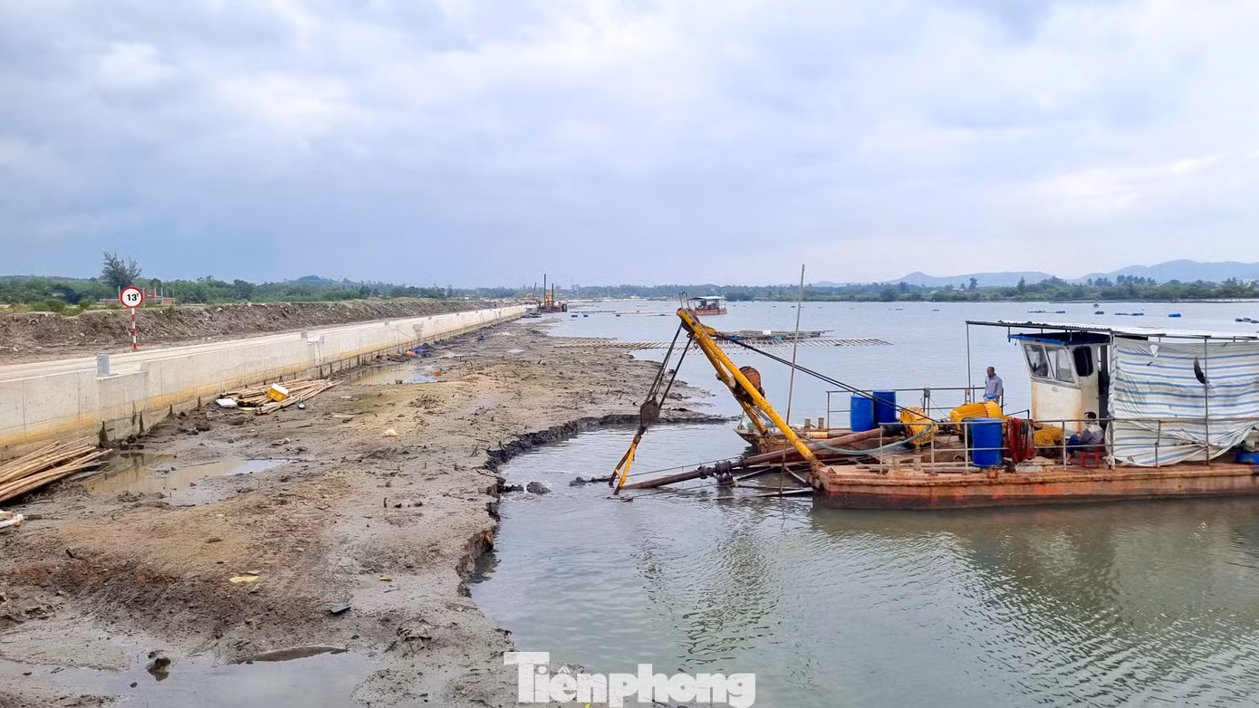 tp-cang-ca-tam-hoa-9.jpg