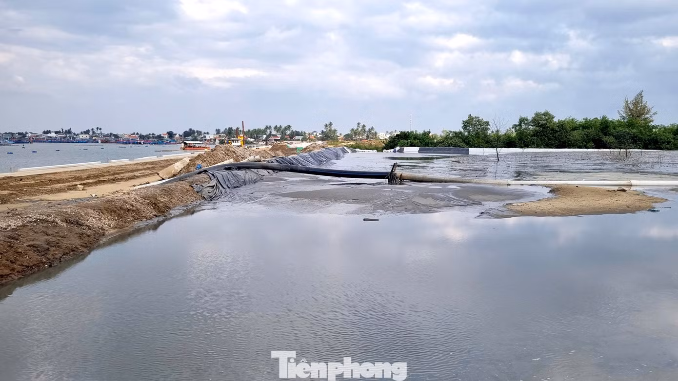 tp-cang-ca-tam-hoa-12.jpg