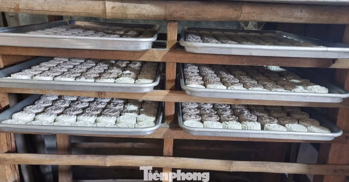 tp-lang-banh-in-8.jpg