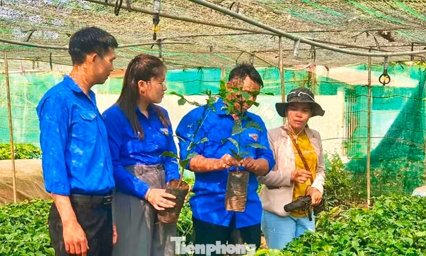Thủ lĩnh đoàn thắp sáng giấc mơ khởi nghiệp