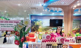 Trên thủ phủ thanh long: Từ cánh đồng rớt giá đến ý chí nâng tầm nông sản