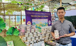 9X khởi nghiệp từ đồng ruộng quê hương, biến củ sen thành món phở độc đáo 