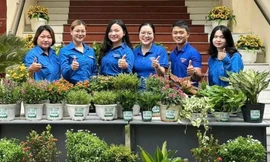 Mang hộp sữa, chai lọ, vỏ bim bim... đổi cây xanh