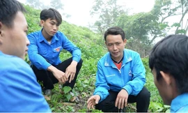 9X đánh thức khát vọng làm giàu ở bản đồng bào Mông