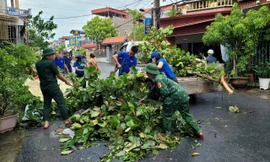 Kích hoạt đội hình thanh niên xung kích, ứng phó khẩn cấp với bão số 3