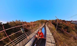 Khách Việt ghé Vạn Lý Trường Thành ngắm lá vàng lá đỏ, xuống núi bằng cách lạ