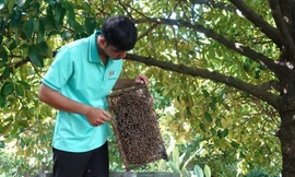 Khởi nghiệp thanh niên nông thôn 2025: Nhiều dự án phát huy tài nguyên bản địa, bảo vệ môi trường