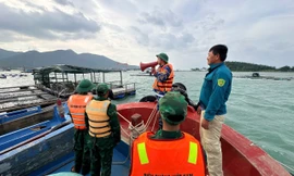 Bộ Quốc phòng hỏa tốc chỉ đạo hai Quân khu sẵn sàng lực lượng trước khi bão số 15 đổ bộ