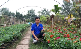 Nhà nông trẻ là nguồn cảm hứng cho thanh niên phát triển kinh tế trên mảnh đất quê hương