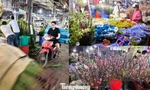 Chợ hoa tươi Đầm Sen sáng đèn xuyên đêm, tấp nập những ngày giáp Tết Bính Ngọ