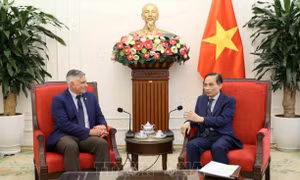 Bộ trưởng Ngoại giao Lê Hoài Trung nêu quan điểm với nghị sĩ Mỹ