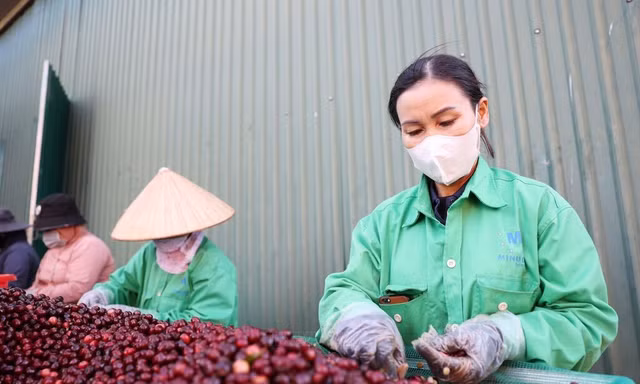 Bộ Tài chính trình phương án cấp bách gỡ vướng mắc thuế giá trị gia tăng 