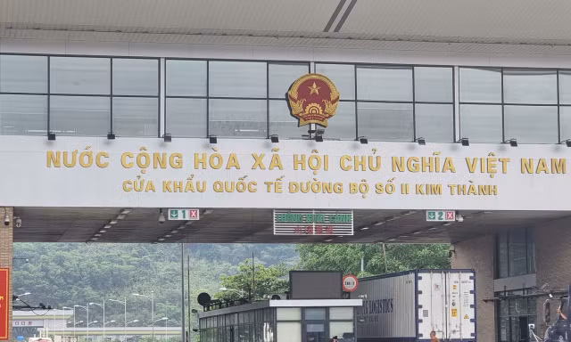 Lô sầu riêng 17 tấn xuất Trung Quốc ngày mùng 1 Tết 