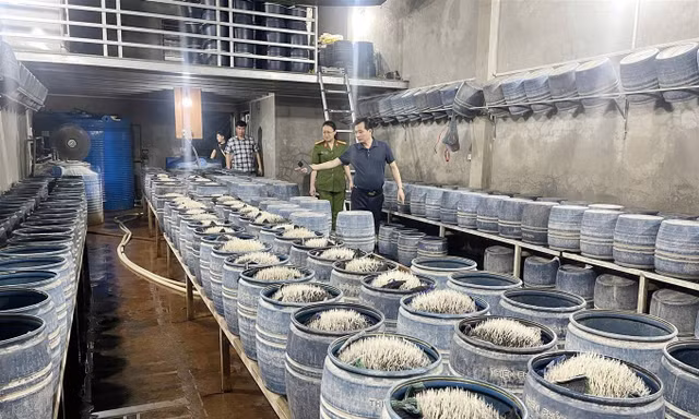 Nghịch lý tiêu chuẩn kép nông sản Việt - kỳ 5: Báo động về an toàn thực phẩm