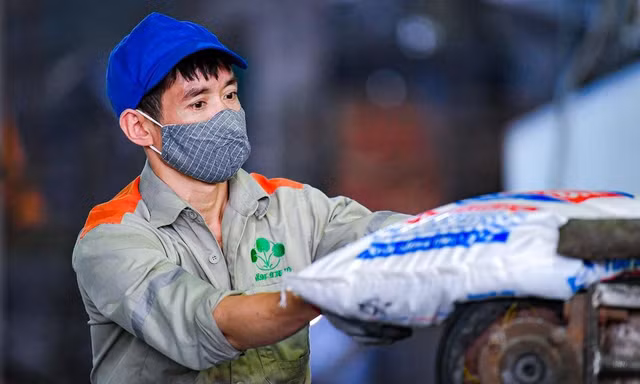 Xuất khẩu phân bón tăng vọt theo 'sóng' giá thế giới