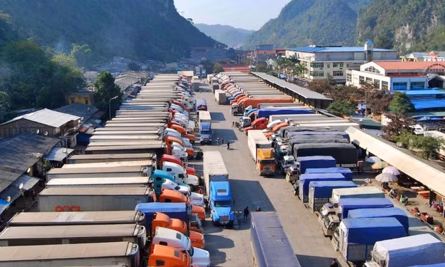 Hàng trăm container nông sản, hàng thực phẩm ùn tắc do chưa có quy định hướng dẫn Nghị định 46.