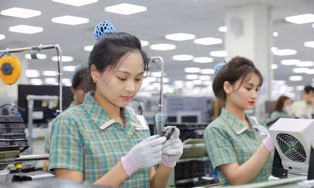 Nhiều doanh nghiệp điện tử có thể dịch chuyển một phần trong khâu sản xuất sang các thị trường bị áp thuế thấp hơn.