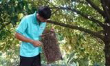 Khởi nghiệp thanh niên nông thôn 2025: Nhiều dự án phát huy tài nguyên bản địa, bảo vệ môi trường