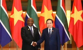 Việt Nam - Nam Phi thúc đẩy hợp tác nghị viện thành trụ cột quan hệ song phương