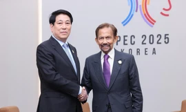 Phát triển hơn nữa quan hệ thực chất Việt Nam-Brunei