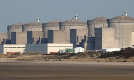 Sứa biển làm tê liệt nhà máy điện hạt nhân Pháp