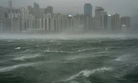 Bão Wipha đổ bộ tỉnh Quảng Đông của Trung Quốc