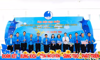 TPHCM tổ chức thành công đại hội điểm Hội LHTN Việt Nam cấp xã, phường