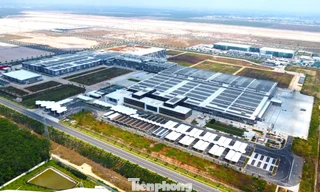 Nhà máy tỷ USD đầu tiên tại TPHCM sử dụng 100% năng lượng tái tạo