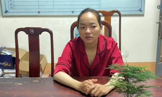 Đến lau dọn nhà rồi trộm trang sức hơn 330 triệu đồng của gia chủ