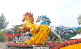 Song mã gây ấn tượng tại Đường hoa – Đường sách TPHCM khu vực Bình Dương