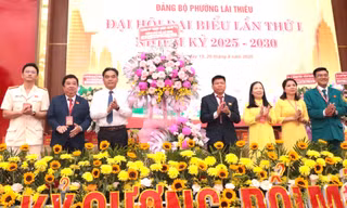 Bảo tồn vườn cây ăn trái nức tiếng Lái Thiêu để phát triển du lịch sinh thái