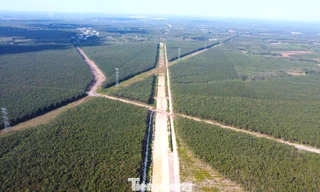 Hình hài đường cao tốc TPHCM đi Tây Nguyên sau gần 1 năm khởi công