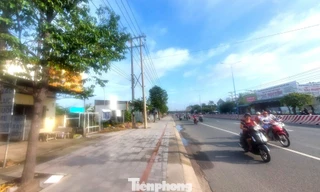 Thu hồi dự án nhà ở bỏ hoang 17 năm trên 'đất vàng' TPHCM 