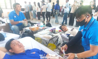 Thanh niên công nhân tại TPHCM hăng hái hiến máu