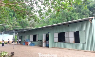 Trường học tạm bợ giữa lòng TPHCM: Mỗi ngày con đi học là một ngày 'bất an'