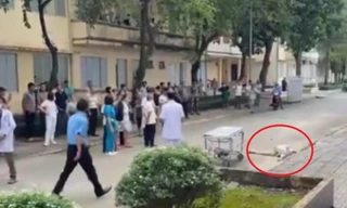 Cụ ông tử vong dưới sân bệnh viện ở Đồng Nai, nghi rơi lầu
